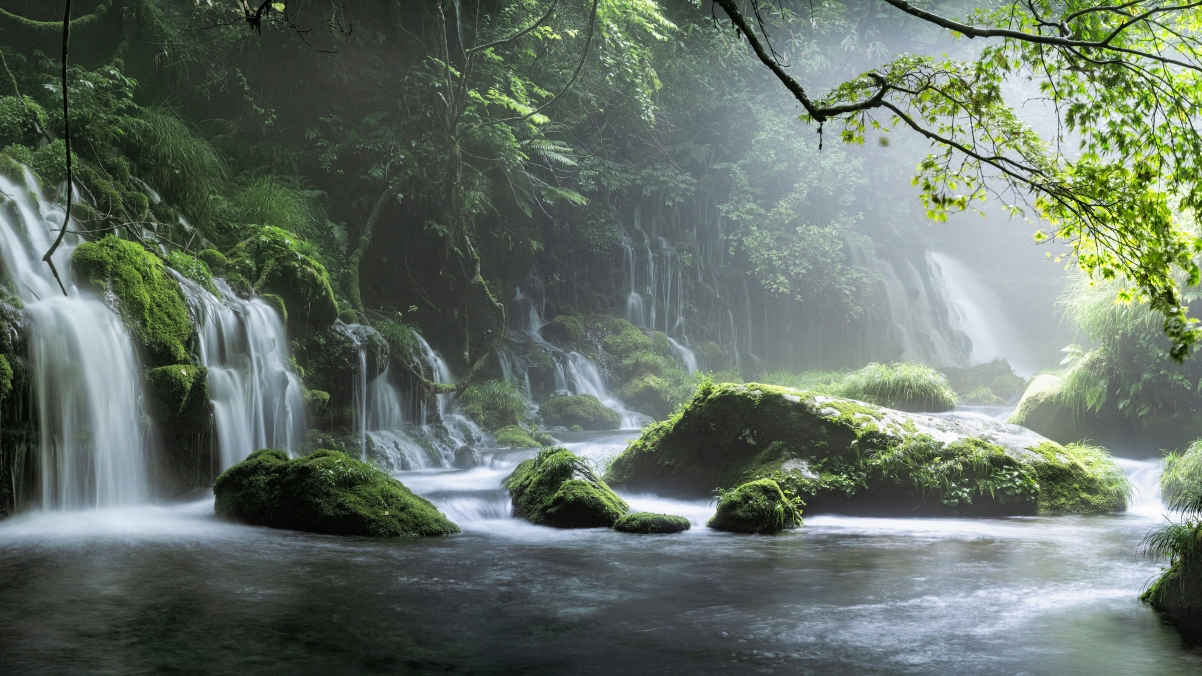 自然风景森林瀑布小溪树林4k高清风景壁纸
