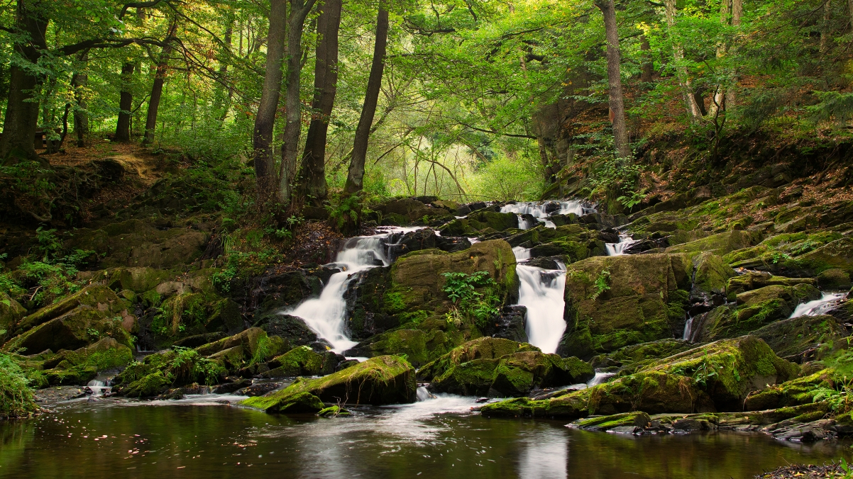 自然森林小溪瀑布风景4k高清壁纸
