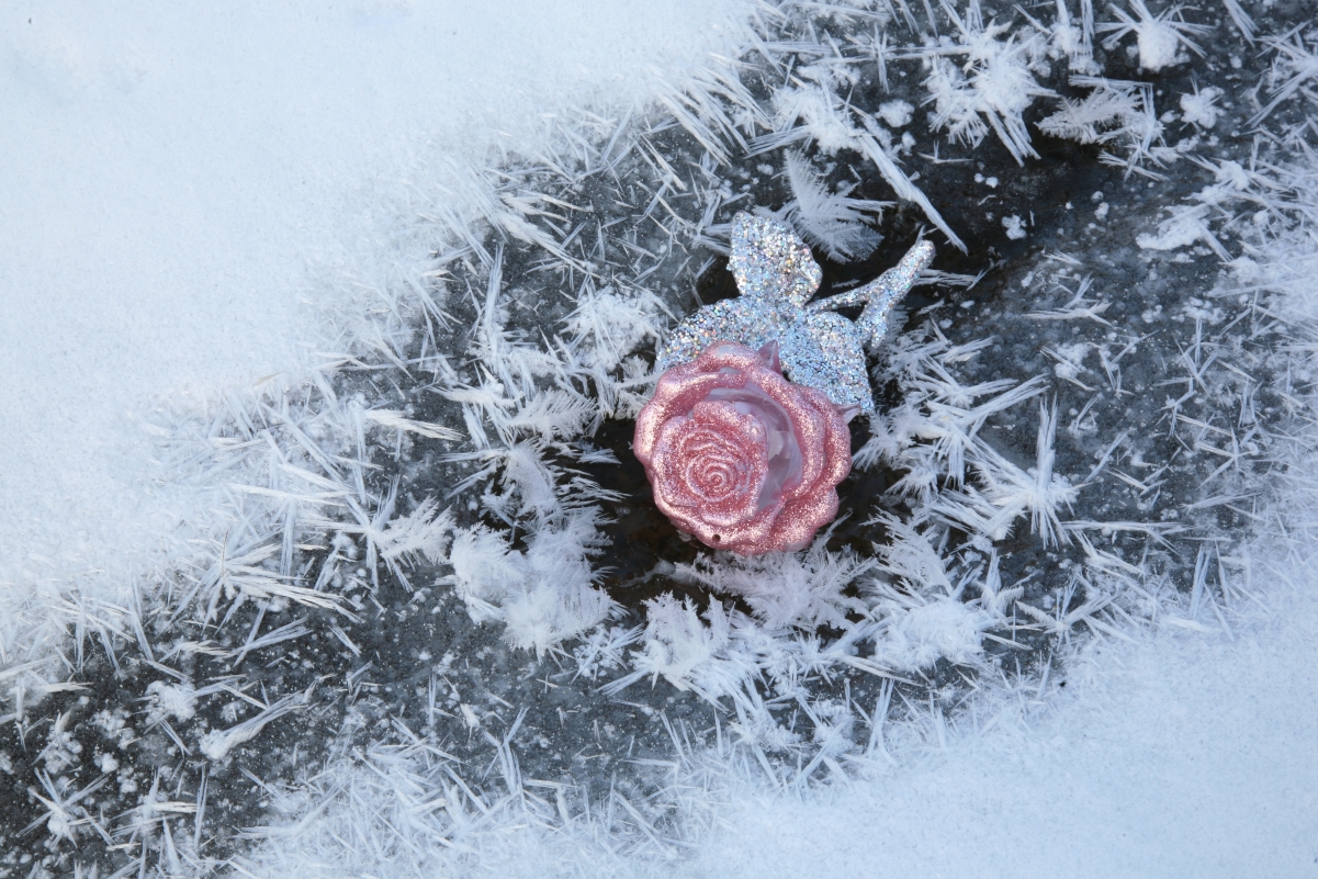 冬季 雪冰 水晶 玫瑰 4k壁纸