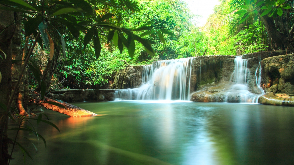 阳光 绿色 溪流 瀑布 泰国 热带 森林 4k壁纸