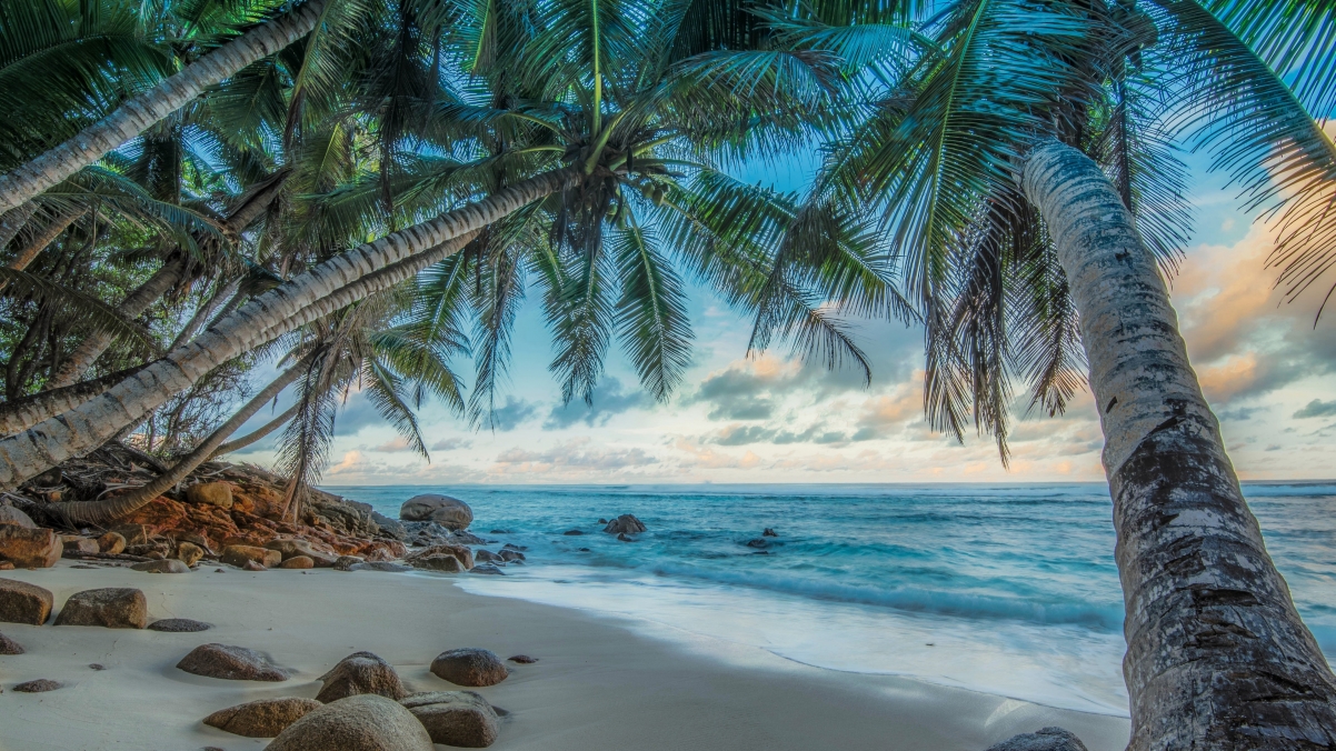 海边椰树沙滩hdr风光4k高清壁纸_4k风景图片高清壁纸