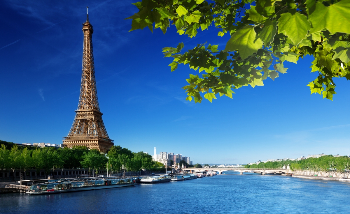 塞纳河,绿色树叶,夏天,天空,河流,法国巴黎埃菲尔铁塔