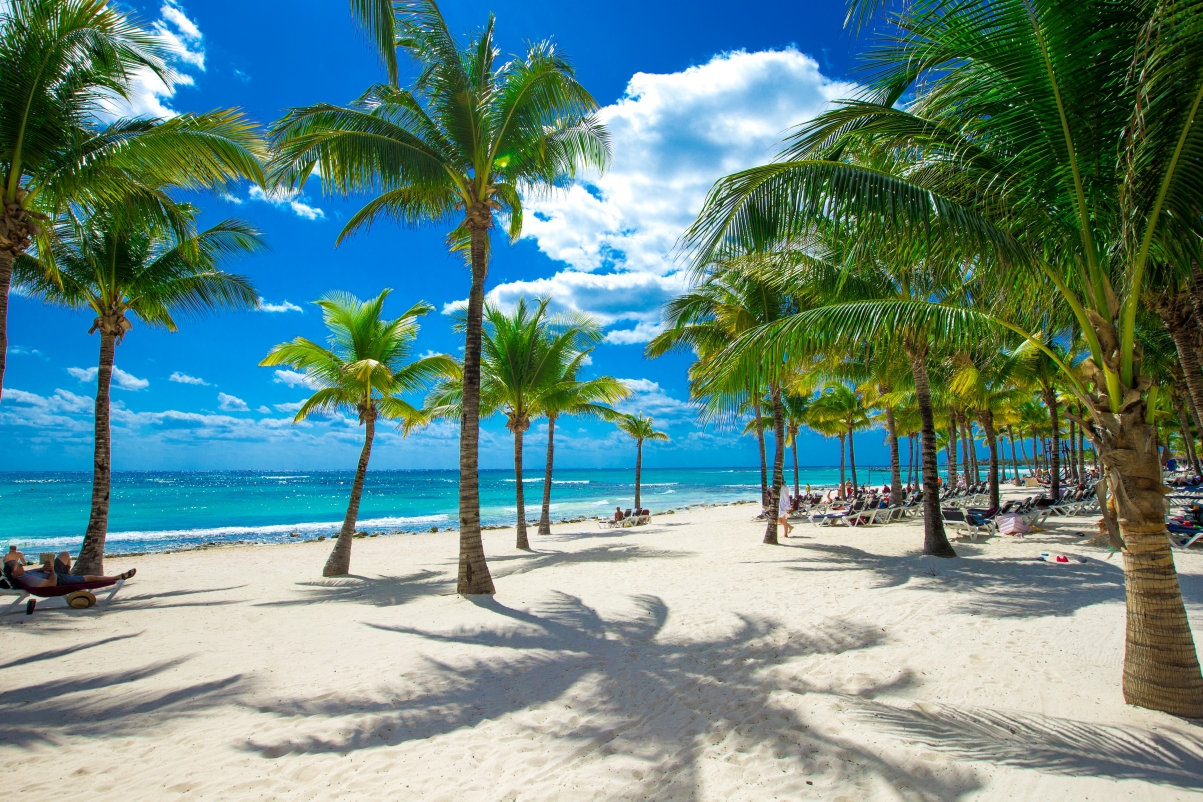 美丽的沙滩海滩海岸棕榈树5k风景壁纸