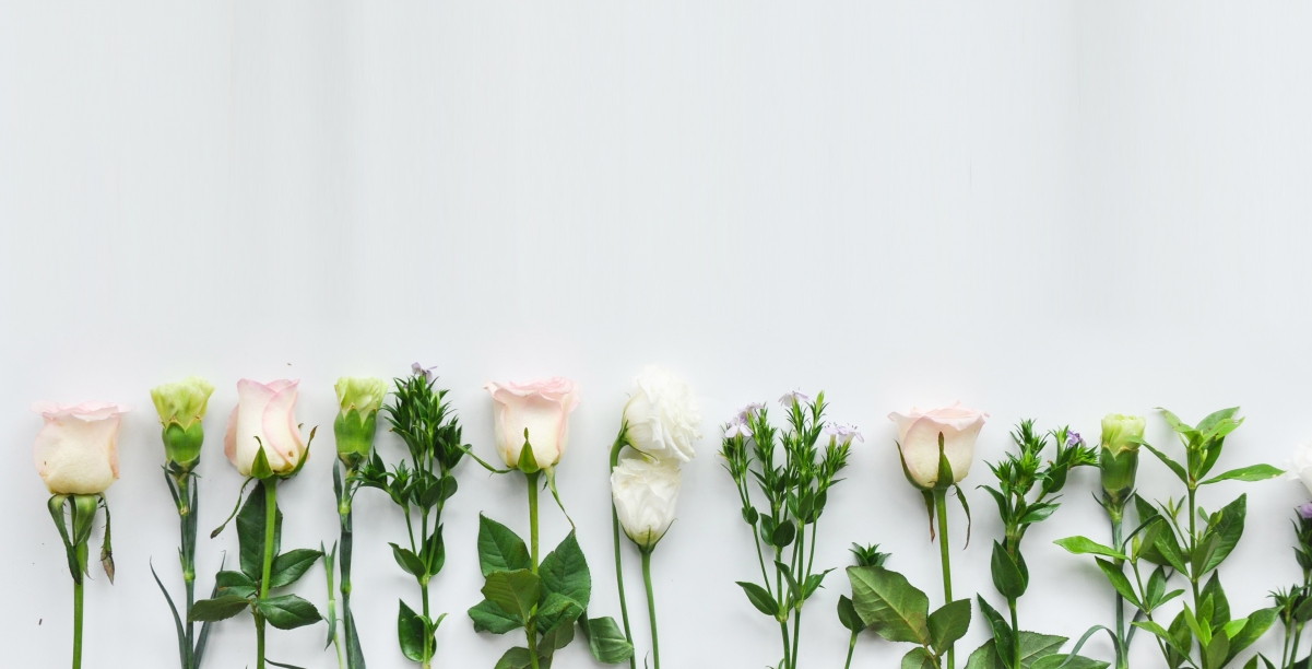 母亲节康乃馨鲜花花束4k背景图片