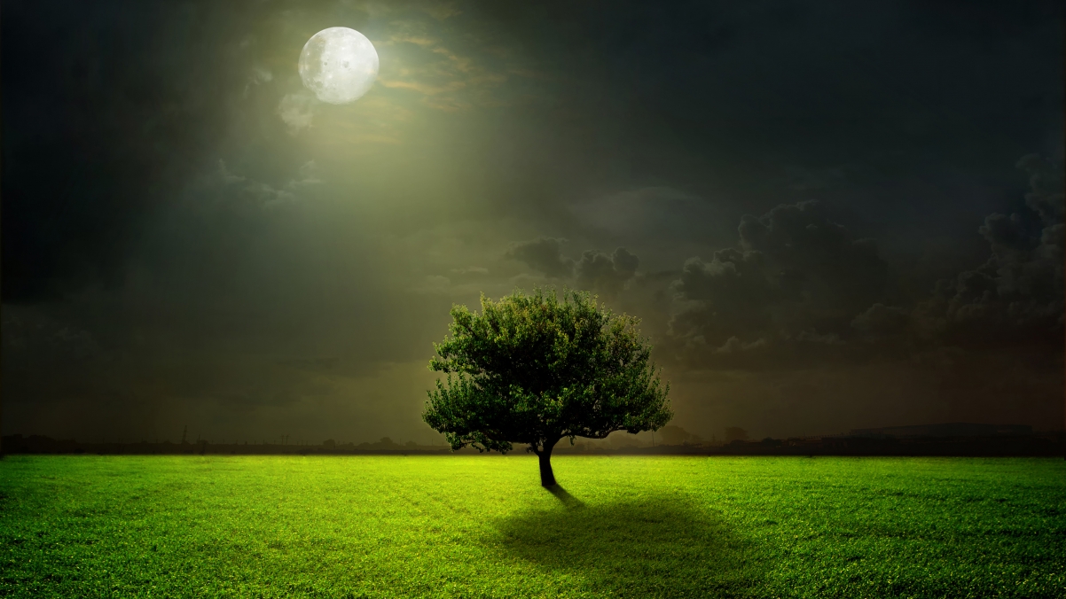 绿色草地 树云 月亮 夜晚 月光 4k风景壁纸