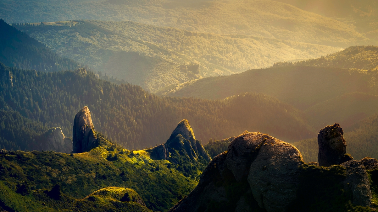 大山树林阳光石头风景摄影4k图片