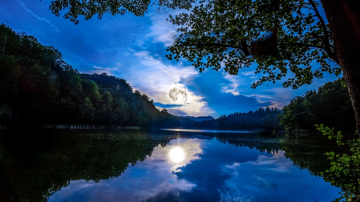 德国美因茨,树,月亮,夜晚,天空,云,河流,森林,4k风景壁纸