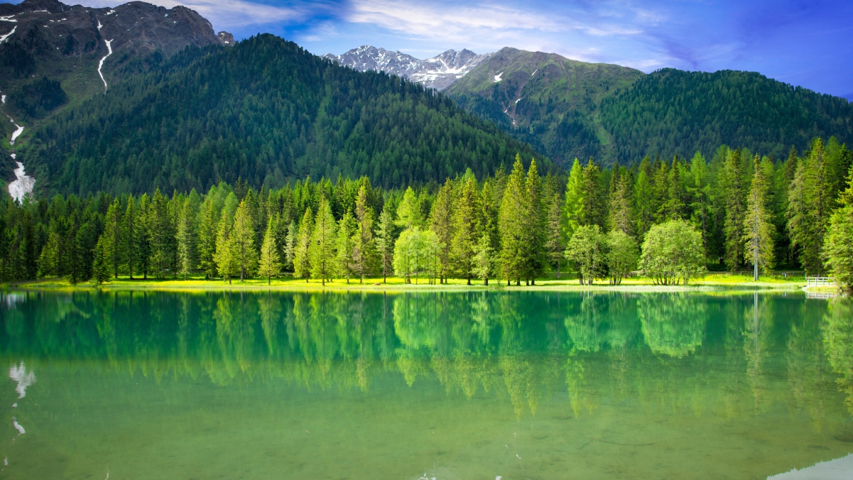 青山绿水绿色树木树林森林湖泊湖水流水大自然4k风景壁纸
