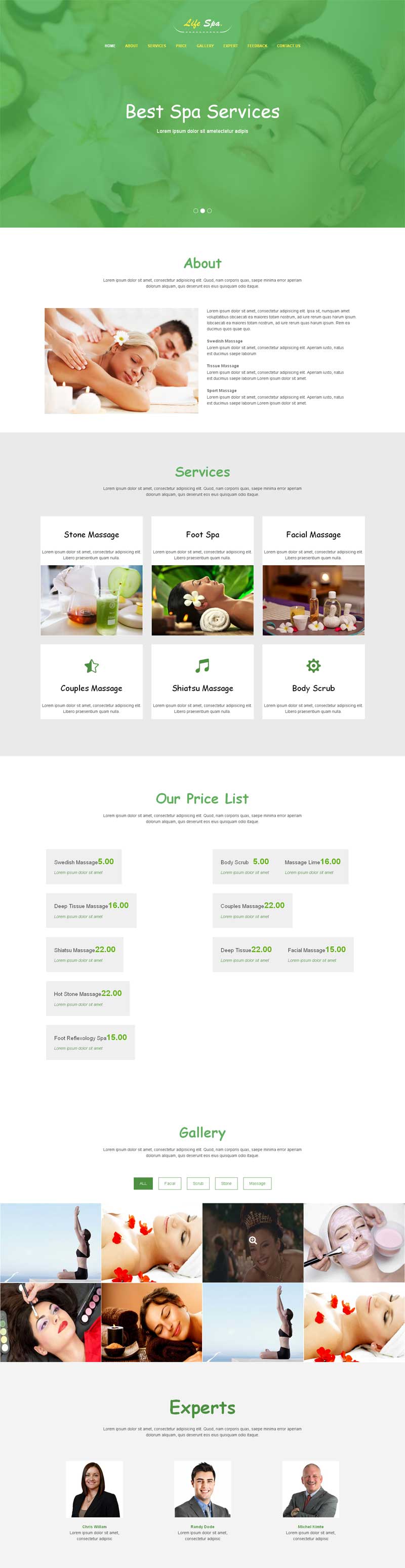 绿色简洁的spa养生会所介绍网站html5模板