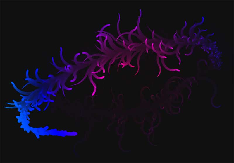 html5 canvas鼠标移动花纹动画特效