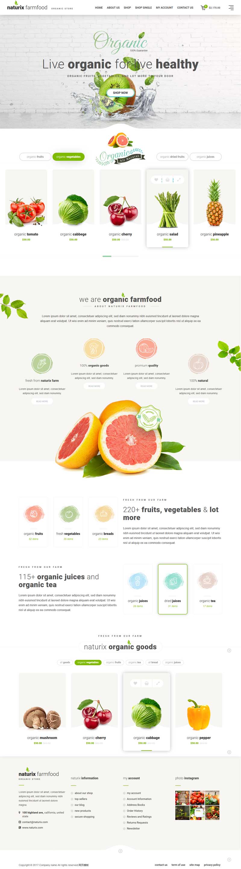 绿色大气的新鲜水果网上购物商城模板html5源码