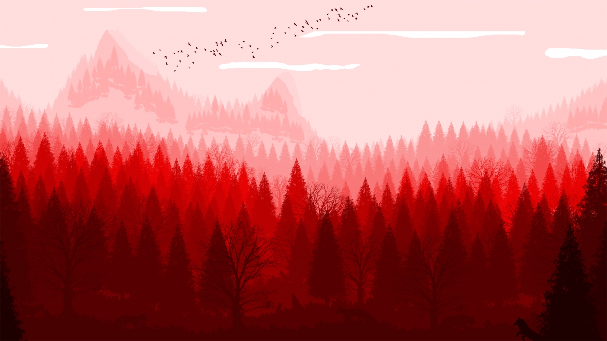 红色的自然风景4k壁纸