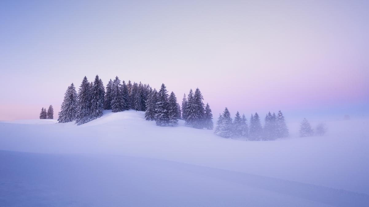 瑞士冬季 雪 树美丽冬天风景4k壁纸3840x2160
