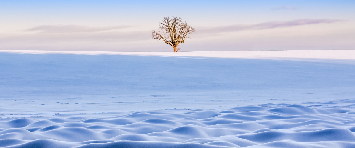 冬季雪地一棵树3440x1440风景壁纸