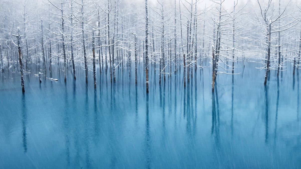 蓝色的池塘 冬天风景4k壁纸