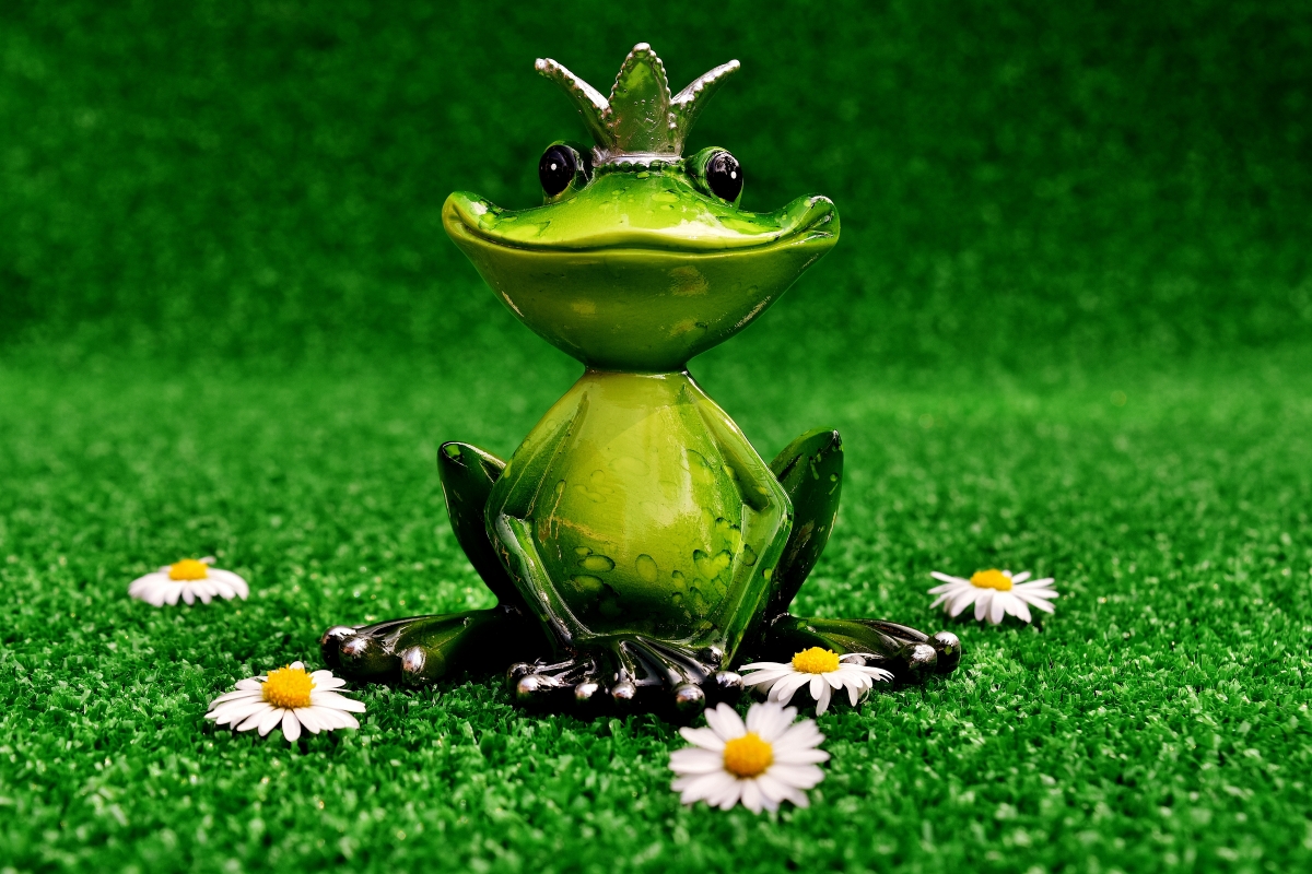 青蛙 青蛙王子 草地 装饰 可爱 7K背景图片
