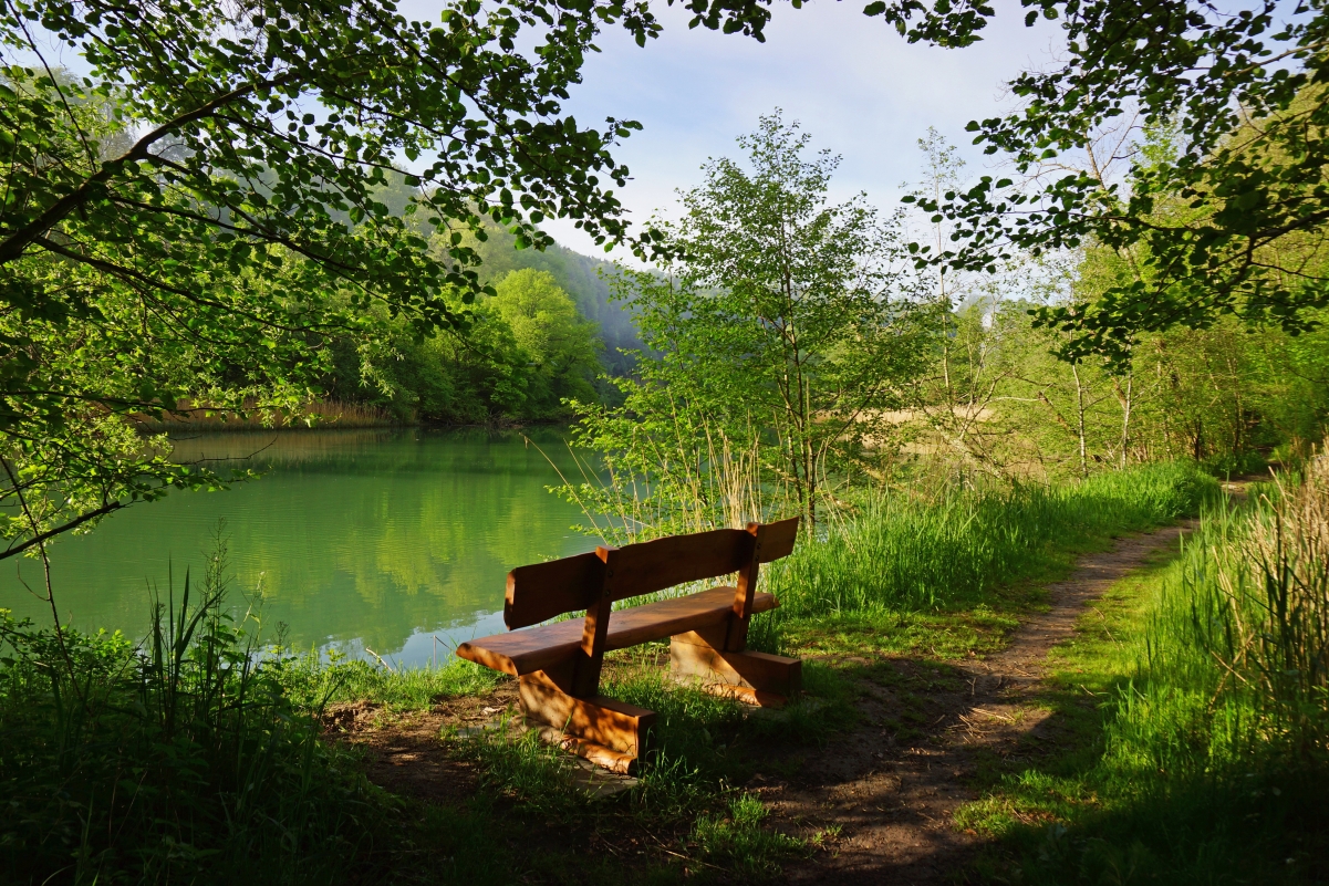 自然,湖,椅子,路,森林,树木,瑞士风景图片