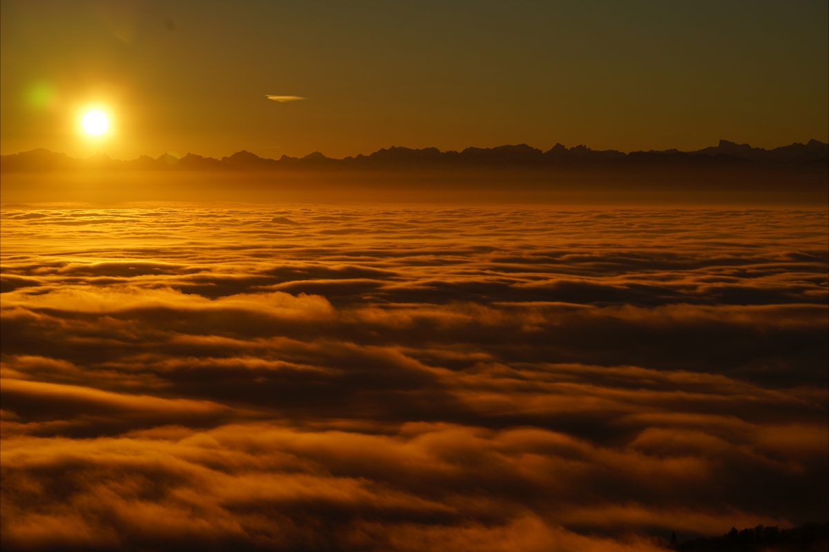 日出 塞尔瓦海洋 云雾之海 4k风景图片