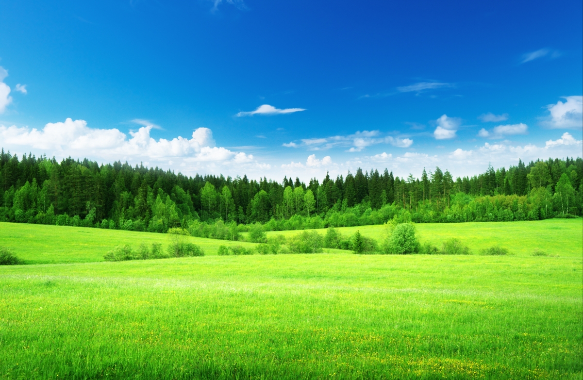 蓝天白云,草地,绿色自然风景高清图片