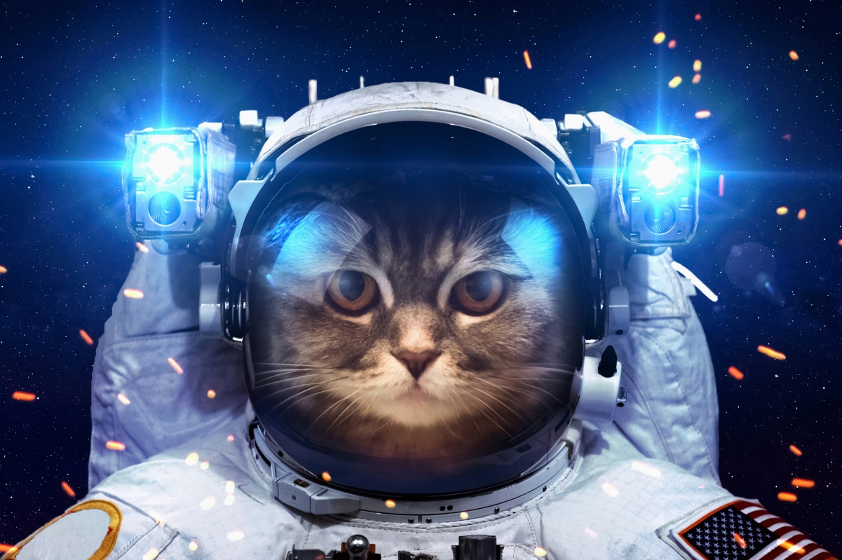 猫 太空 宇航员 5K壁纸