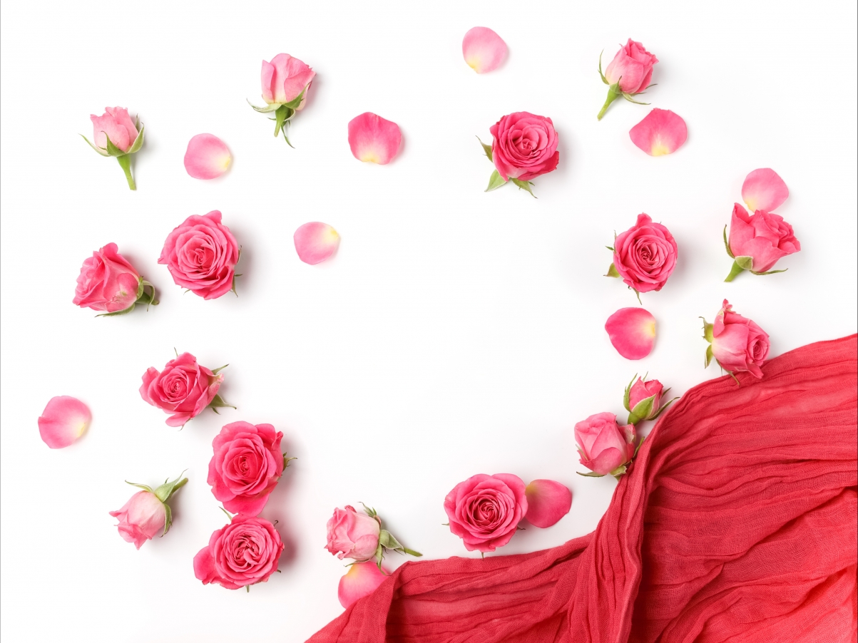 浪漫玫瑰,玫瑰花蕾花瓣4k背景图片