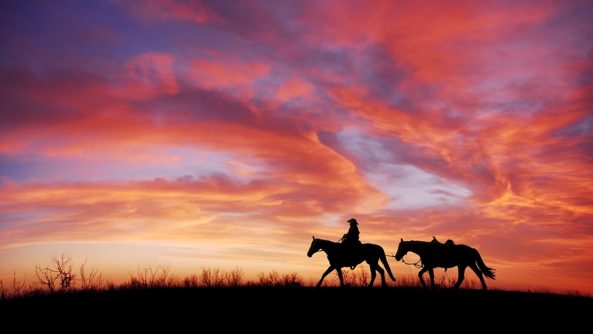 黄昏夕阳骑马的女孩4k风景壁纸