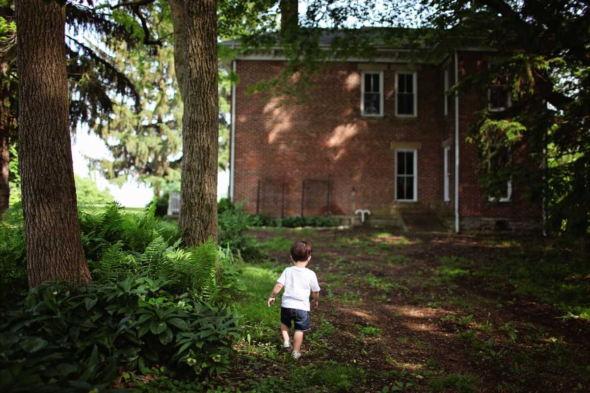 小男孩 砖墙 房屋 叶子 花园 5k图片