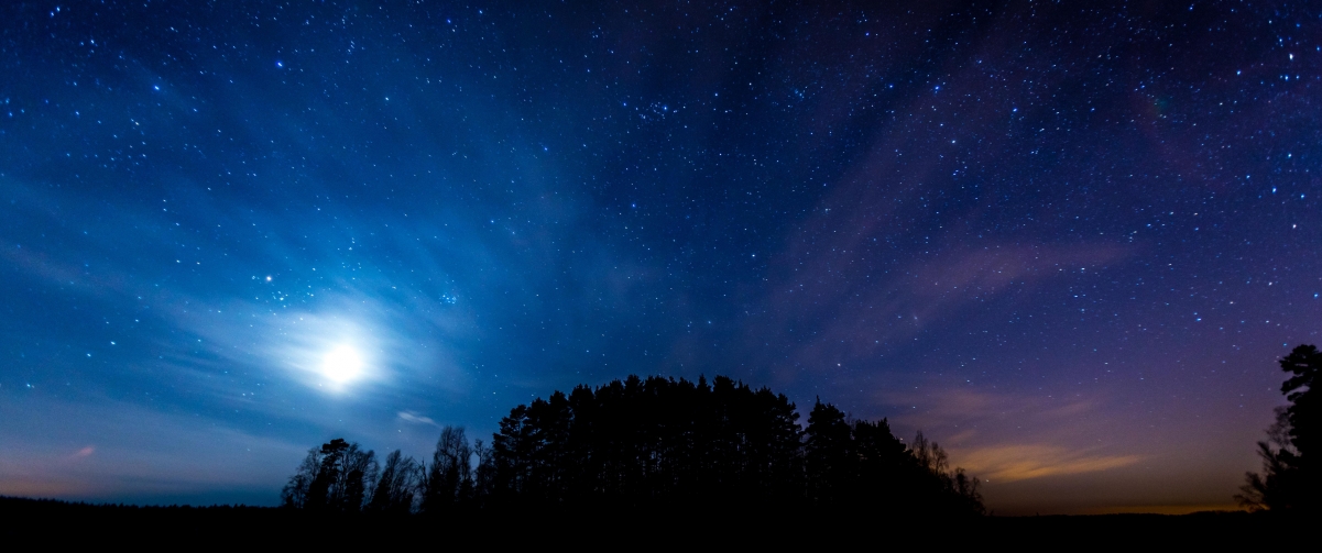 夜晚星空树林3440x1440风景壁纸