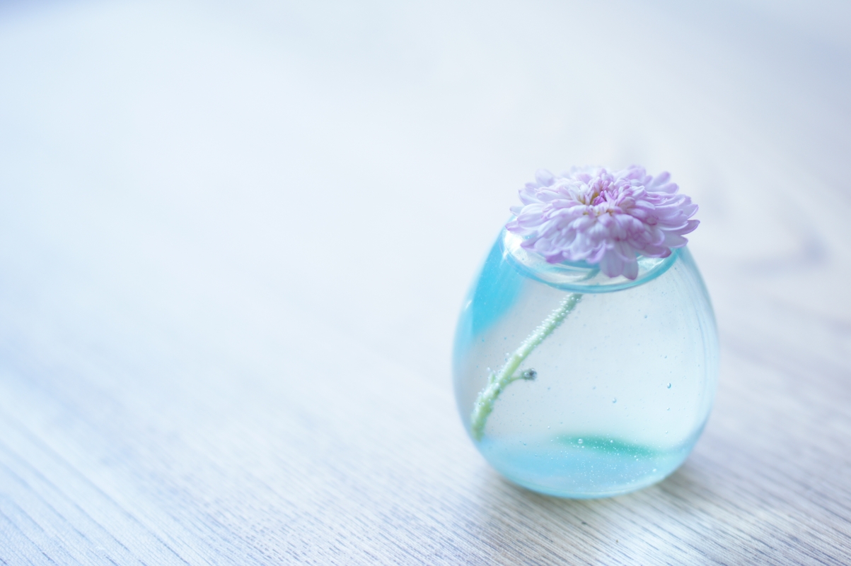 花瓶,水,粉红色的鲜花,简单干净清爽背景图片