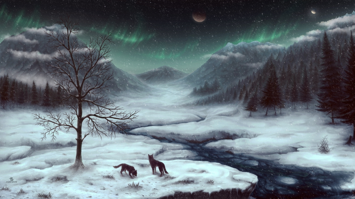 冬天,雪地,山,树林,狼,4K风景壁纸
