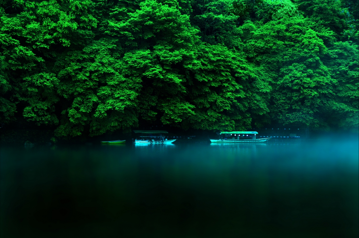 日本本州岛,自然风景,树林,湖水,船,4K风景图片壁纸
