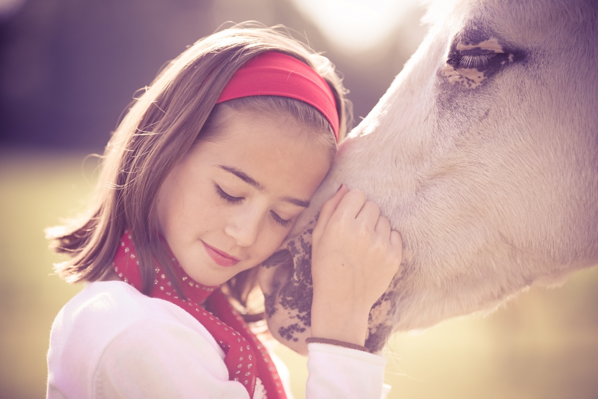 可爱小女孩 爱体贴 温柔 美丽的白色马 4K壁纸图片
