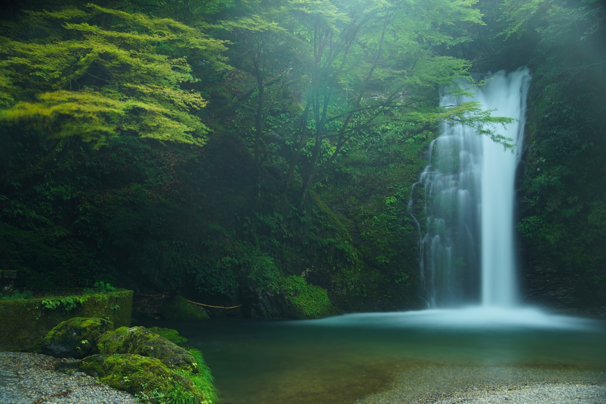 日本白絲瀑布風景4k壁紙