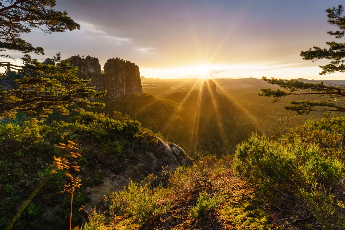 森林 树木 山 岩石 悬崖 瑞士 阿尔卑斯山 太阳的光芒 4k风景图片