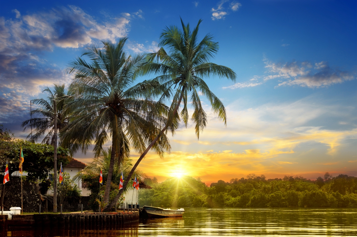 天空 云 太阳 日落 热带 棕榈树 沙滩 船 河流风景4k图片