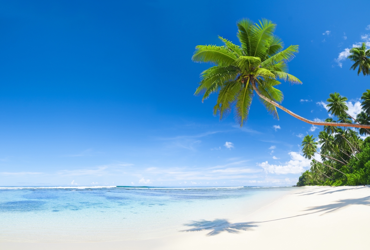 蓝色天空 海水 热带 棕榈树 美丽的海边风景5K壁纸