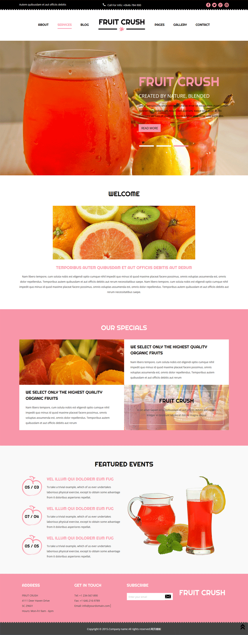 国外水果榨汁饮料店铺网站模板html源码