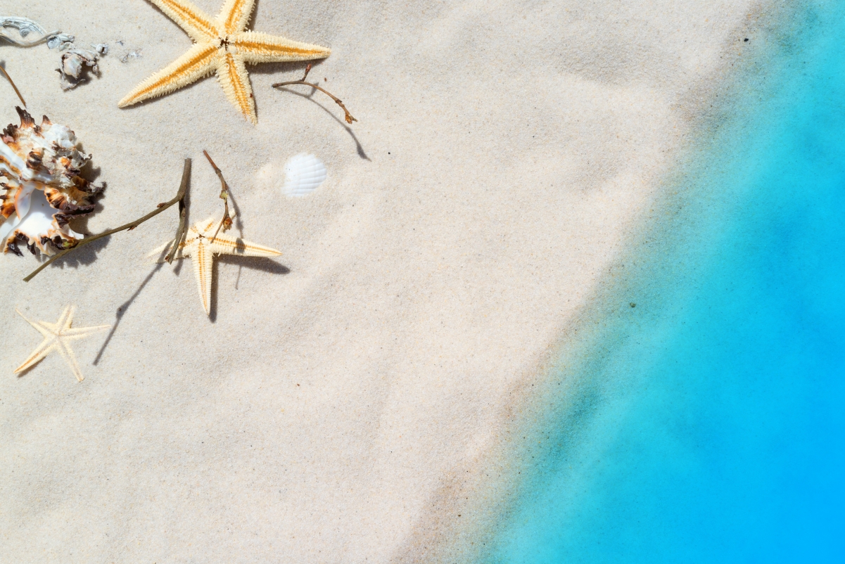 海滩 假期 夏季 海星 大海风景4k高清图片
