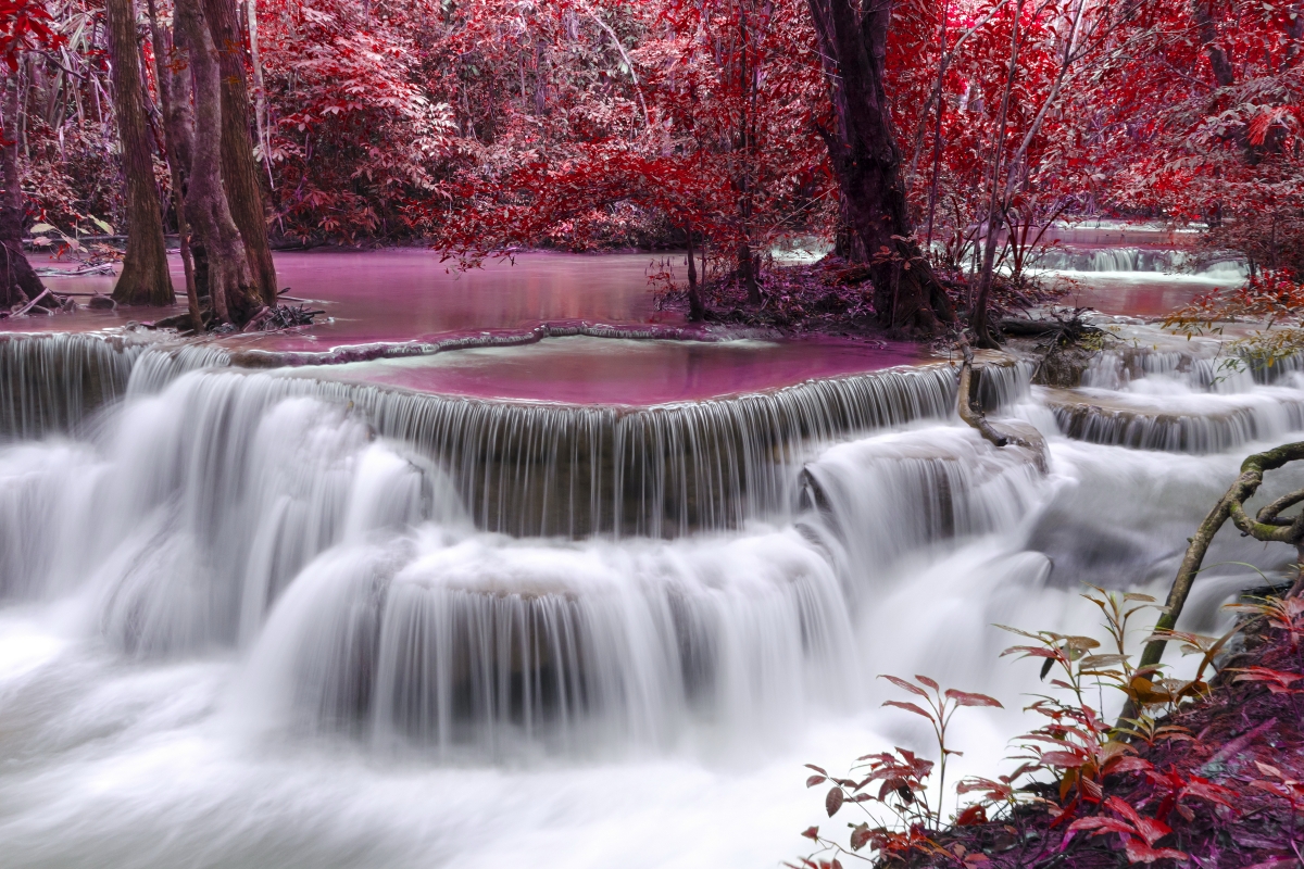 秋天 瀑布 河流 紫色 红色 树叶 6K风景壁纸