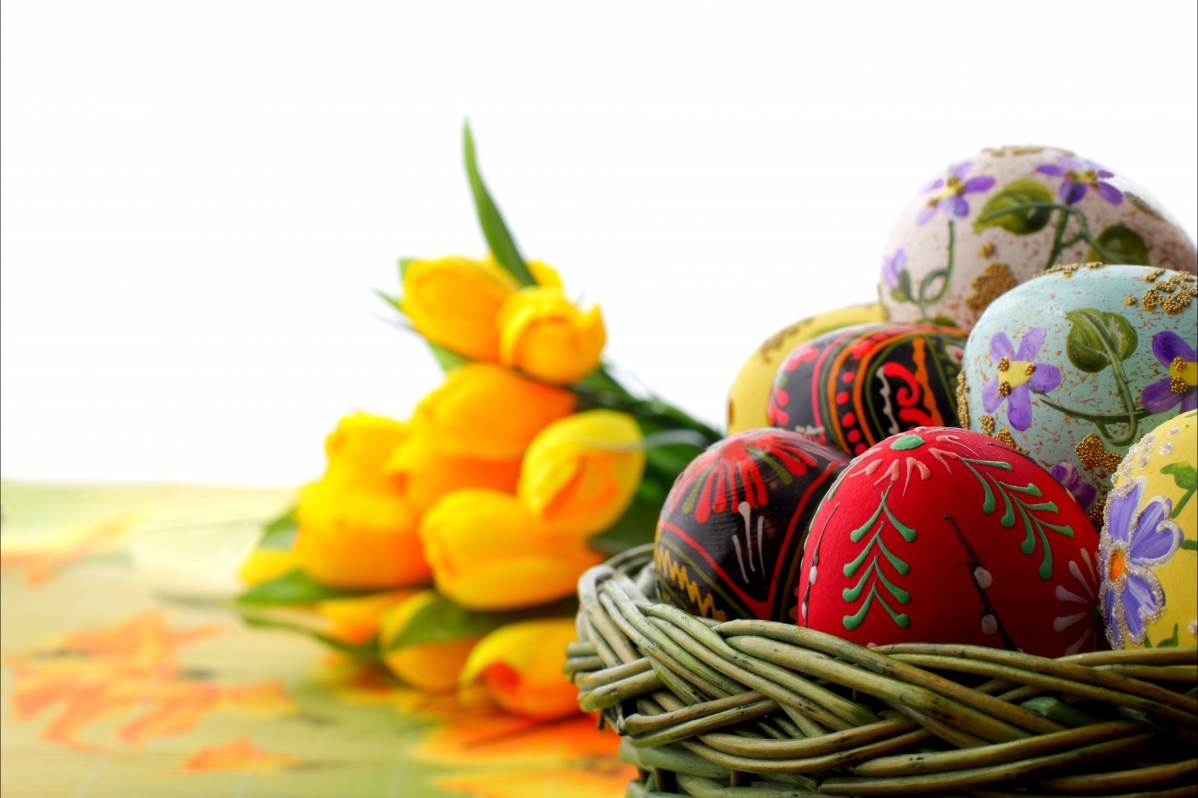 复活节彩色的蛋鲜花7K图片