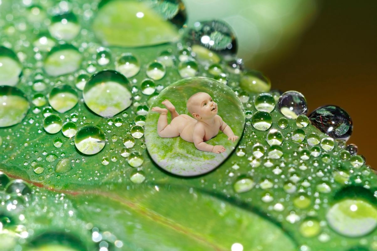 水滴 绿色叶子 婴儿 孩子 创意5k图片