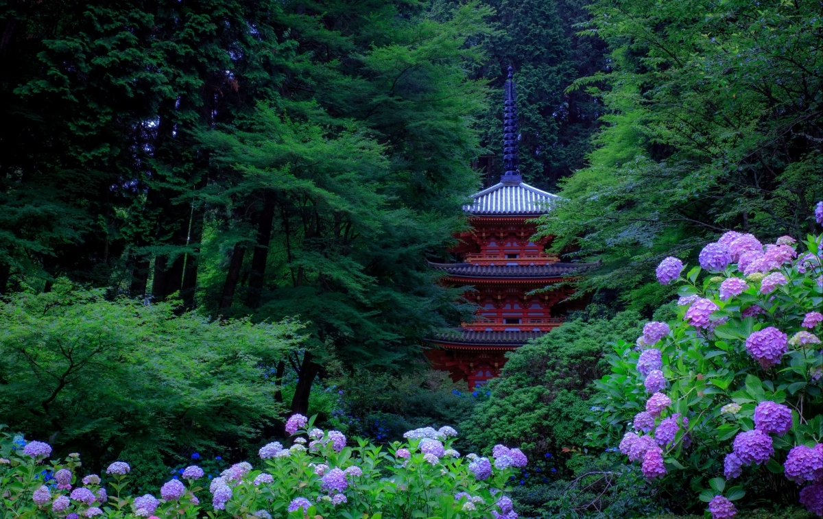 日本京都 公园 绿色树木 灌木 绣球花 塔 4K风景壁纸