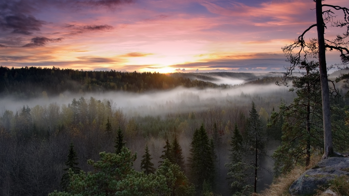 日出 早晨 雾 芬兰国家公园3840x2160壁纸