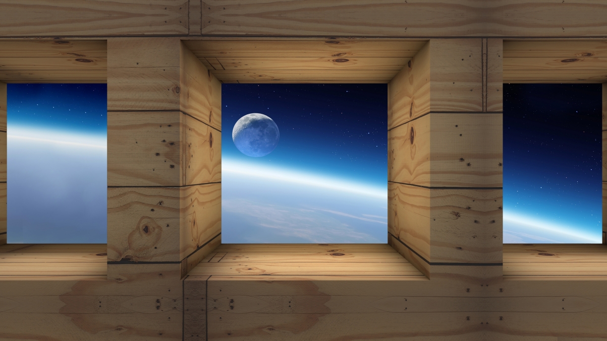 月球和地球视图 空间 5K壁纸