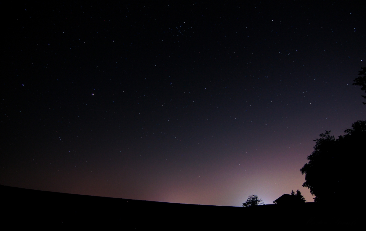夜 森林 夜晚的天空 星空 4K风景壁纸