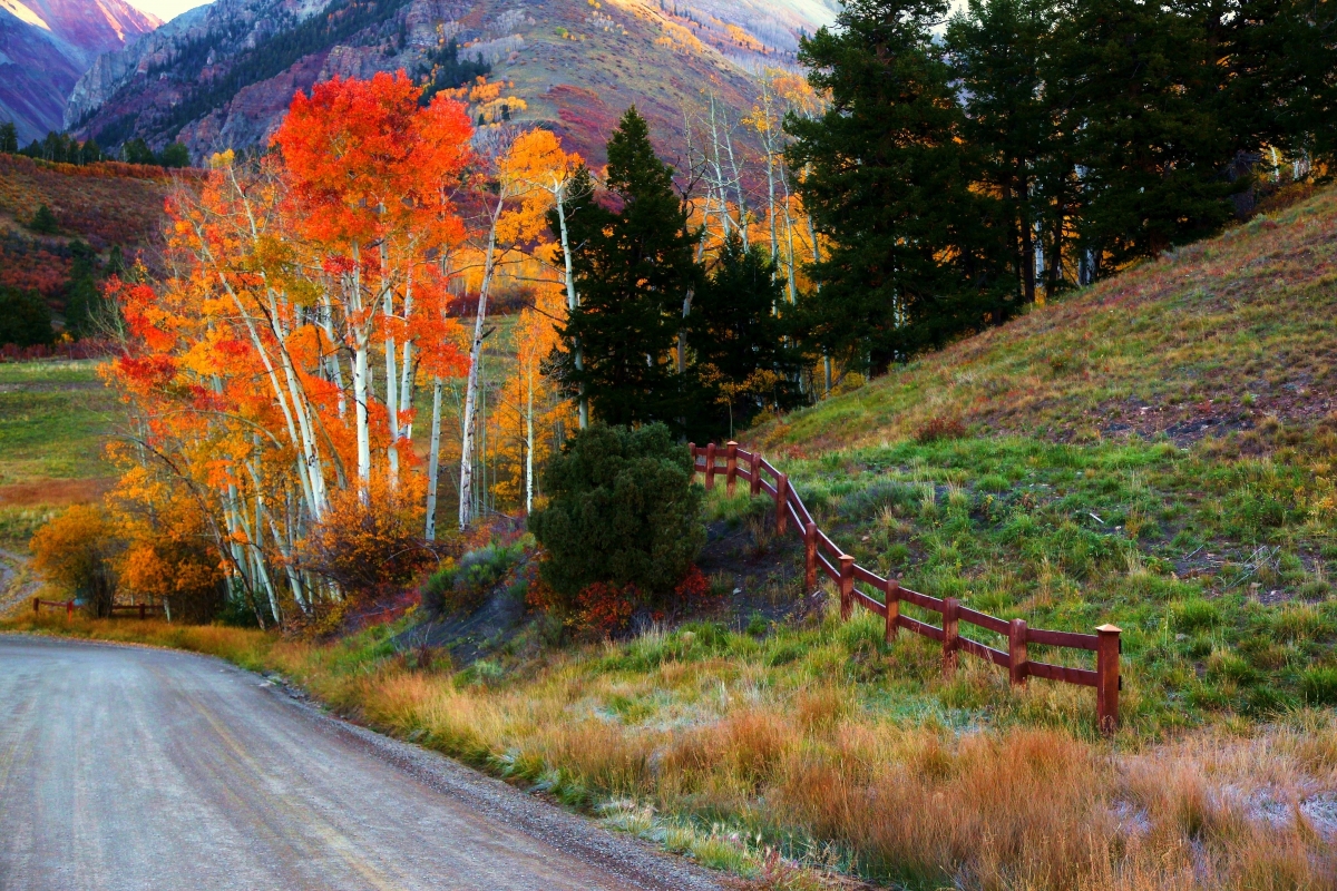 秋天风景 山 道路 栅栏 4K图片