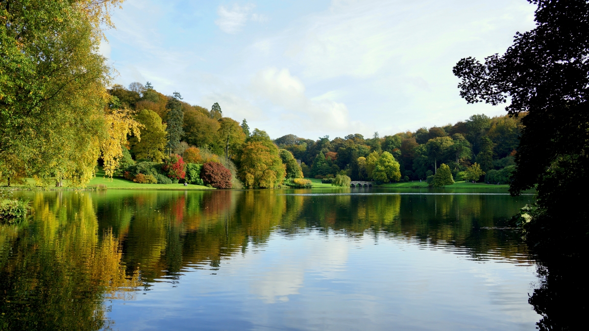 秋天 公园 树木 池塘 桥 美丽的湖水 4K风景壁纸