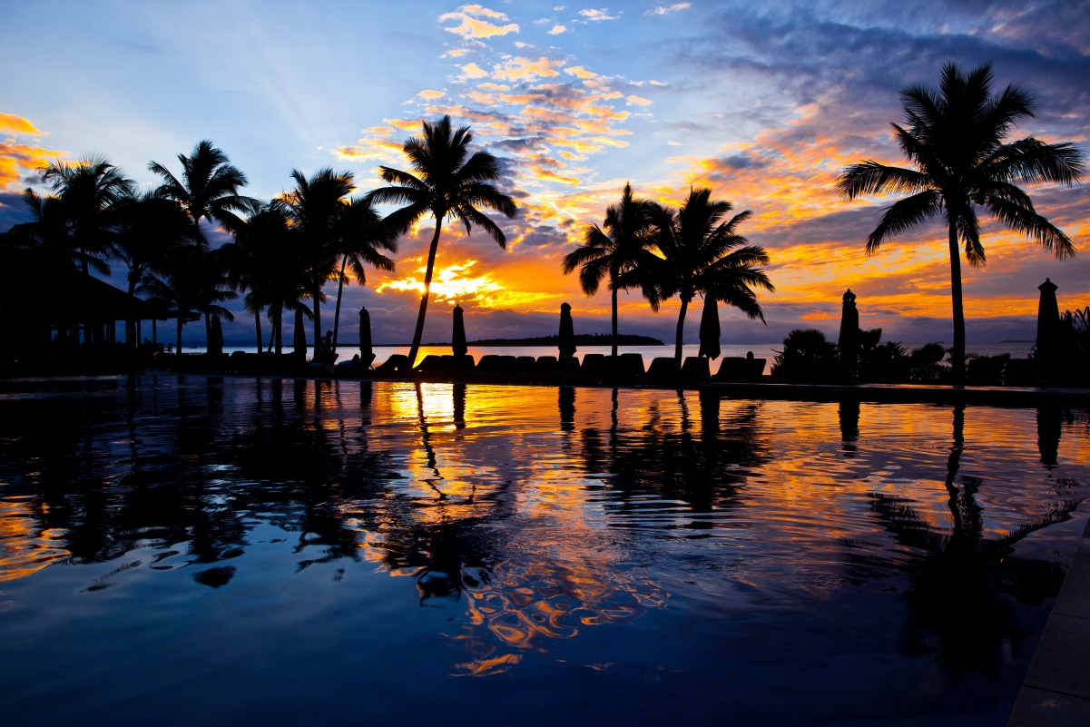 游泳池 水 棕榈树 4K风景图片