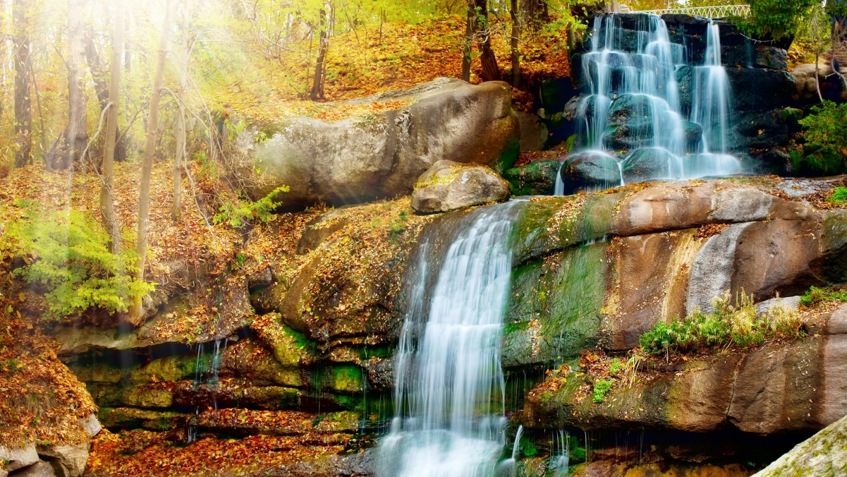 秋季森林公园 小溪 瀑布 4K风景壁纸