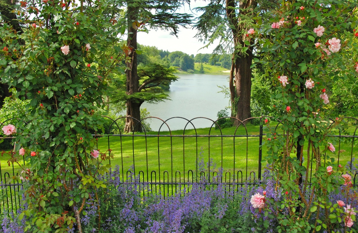 牛津郡花园 树木 玫瑰花 篱笆 绿色草地 河流风景图片